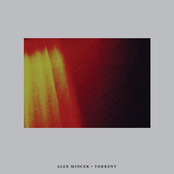 Alex Mincek: Torrent