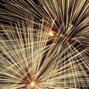 Night Flowers (2002)