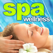 Spa Wellness (50 Best Instrumentals: A Soothing Blend of Music and Nature Sounds to Create a Peaceful State of Mind)