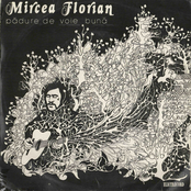 Pădure De Voie Bună