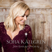 Julen skynda jag väntar på dig