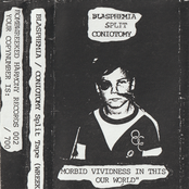 Morbid Vividness In This World / Milki Way