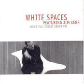 Don't You Forget About Me