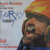 Tygrysy Europy