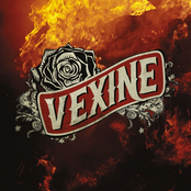 Vexine: Vexine