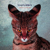 Dreams Of New Orleans by Trophy Scars