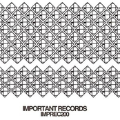 Important Records Sampler