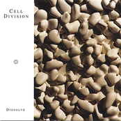 Routine by Cell Division
