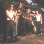 Punk Chartbusters Vol 4