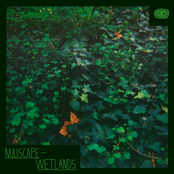 Wetlands