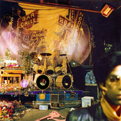 Album cover for Sign O' The Times, by Prince