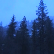 Stella: see you again