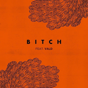 Bitch (feat. Vald)