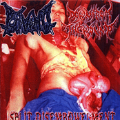 Split Disembowelment