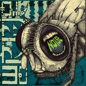Wormrot: Noise