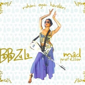 Cecom by Baba Zula & Mad Professor