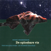 De Oplosbare Vis