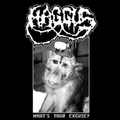 Haggus: What's Your Excuse?