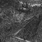 Radiation Vomit / Heinous