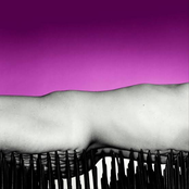 Can't Have Everything