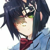 hikaru purpose