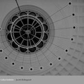 Jacob Kirkegaard: Labyrinthitis