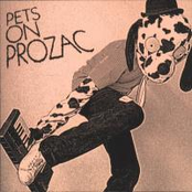 Shoes Make The Man by Pets On Prozac