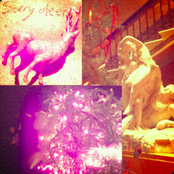 Oh, Father How I Have Sinned