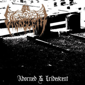 Adorned & Iridescent