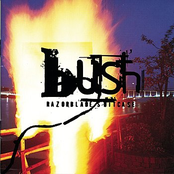 Cold Contagious by Bush