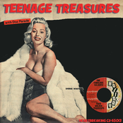 Teenage Treasures - Volume 13