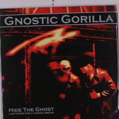 Hide the Ghost (Last Rites for a Fading Dream)