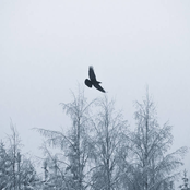 Messenger of Cold Plains