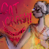 Cat Crash: Aphrodite Has A Plan