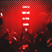 can u see me in the dark? - Single