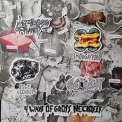 4 Ways of Gross Necrosis