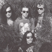 Human photo provided by Last.fm