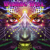 Wishing Well: Rat Race