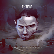 Sharp Dressed Animal