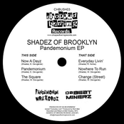 Pandemonium by Shadez Of Brooklyn