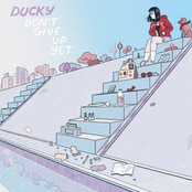 Ducky: Don't Give up Yet
