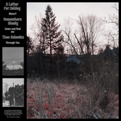 There Is Beauty In Everything