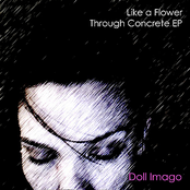 Like a Flower Through Concrete