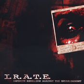 Infinite.Rebellion.Against.The.Establishment