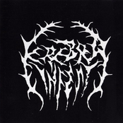 Cerebra Infest