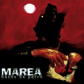 Como El Viento De Poniente by Marea