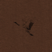 Карельский Лес