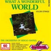 What A Wonderful World