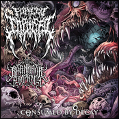 Consumed By Decay