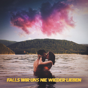Falls wir uns nie wieder lieben